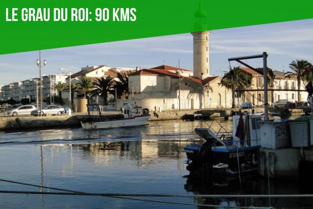 Dans Le Sillon Du Fort -Clim - Wifi - Centre Ville Villeneuve-lès-Avignon Εξωτερικό φωτογραφία